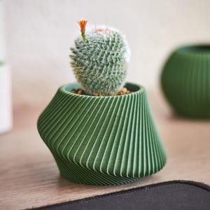 May include: A small, green, geometric-patterned planter holds a cactus with a small orange flower. The planter is next to a matching green decorative sphere. The items are on a wooden surface.
