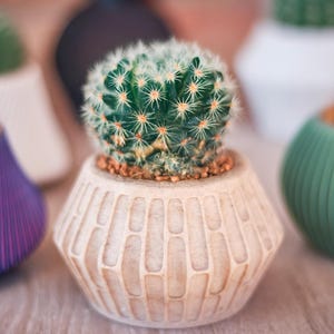 Modern Mini Succulent & Cactus Planter - Eco-Friendly 3D Printed Wood-PLA