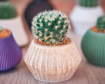 Macetero geométrico Terra | PLA madera sostenible | Maceta cactus pequeña | Impreso en 3D