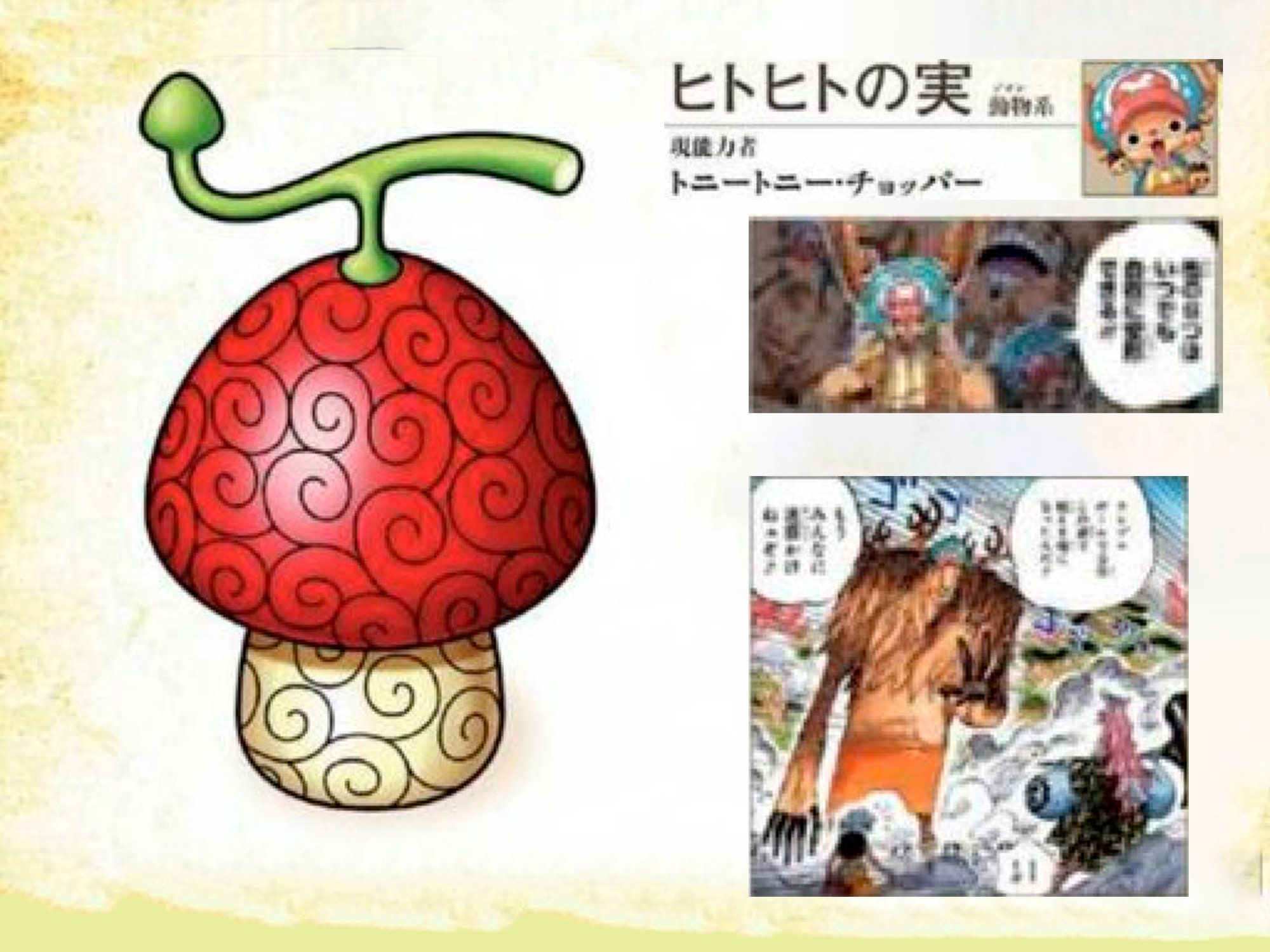 One Piece Anime Devil Fruit Chopper Hito Hito No Mi Etsy Canada