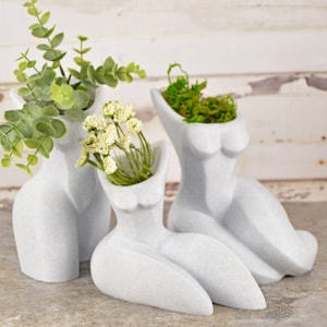 Body Vase, Body Planter, Succulent Planter Funny, Unique Air Plant Holder, Female Body Decor, Air Plant Holder, Statement Vase
