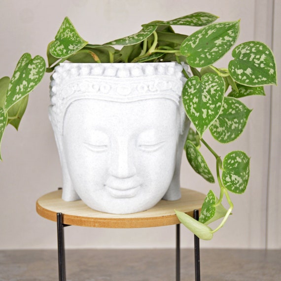 Boeddha hoofd plantenbak voor kamerplant Boeddha pot - Etsy Nederland