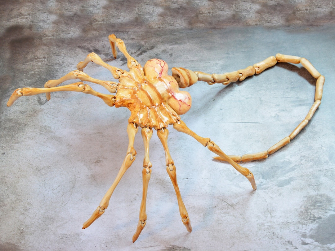 Life Size Alien Face Hugger Replica, Articulated Alien Face Life Size Alien Face Hugger Replica, Articulated Alien Face