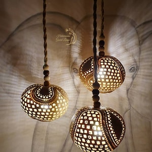 Hanging shabby chic gourd lamps, wooden pendant light, rustic chandelier lighting, rope chandelier