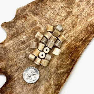 10 Deer/Elk Antler Beads/  Natural Finish/ Shed Deer Antler