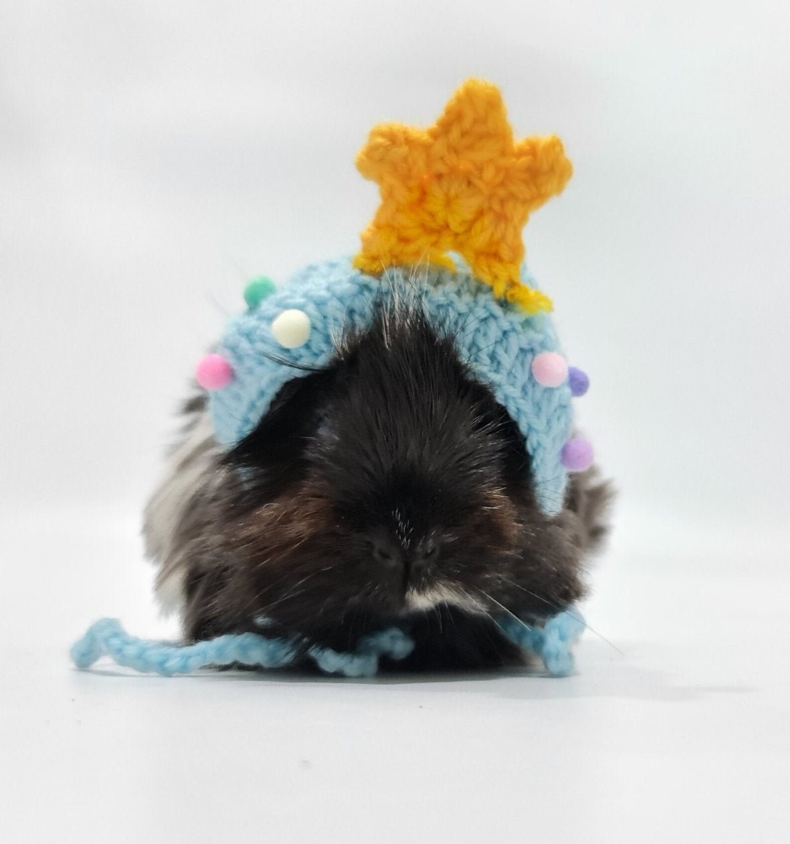 Star Hat for Guinea Pigs Etsy
