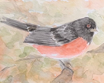 Female Rufus Sided Towhee - original watercolor of birds