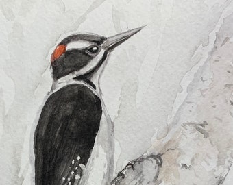 Downy Woodpecker - Original Watercolor- One of a Kind