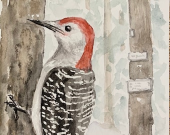 Red Bellied Woodpecker on the Trail - Original Watercolor Painting - One of a Kind