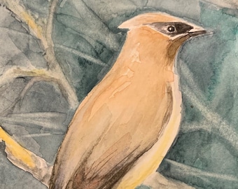 Cedar Waxwing Bird original watercolor art work
