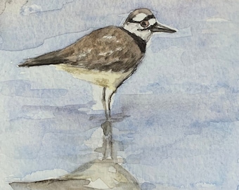 Original Watercolor of  a Killdeer - Wild Bird Painting -  Wall Art  -  Gift for Bird Lover - Reflections