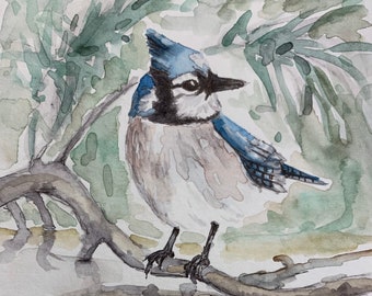 BlueJay and their Reflection: original water color, one of a kind art work of birds