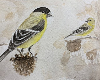 Lesser Goldfinches in the Brush - Original Watercolor of birds