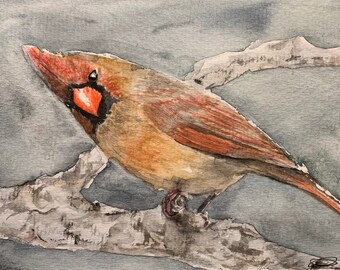 What did you say? Female Cardinal Original Watercolor art of Birds
