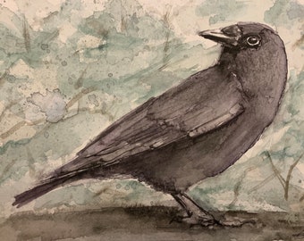 Crow, bird, original watercolor, hand painted, one of a kind