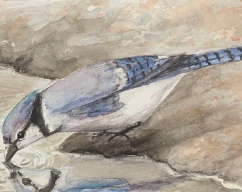 Eastern blue jays, bird painting, original artwork, watercolor painting.