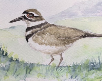 Original Watercolor of Killdeer - Bird Art - Postcard