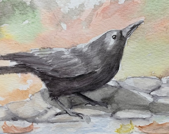 Crow in the Autumn Leaves; original watercolor of bird, one of a kind