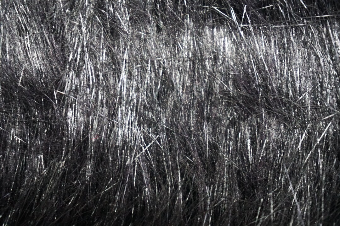 Luxury Black Fur From Yorkshire Fur Fabrics Made in UK. 950g per Linear ...