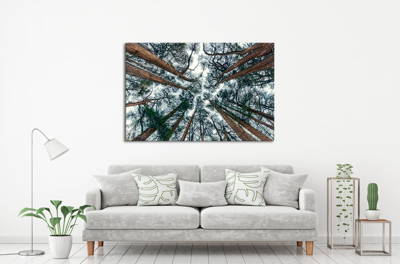 Beautiful Forest Park Wall Art Exta Large Wall Art Etsy