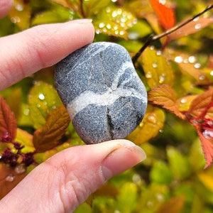 Rare Mini Magic Stone, Natural Wishing Stone, Welsh Wish Stone, Bladder Stones, Holy Stone, Ancient Welsh Stone, Odin Stones, Lucky Talisman