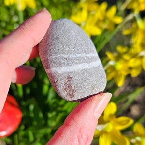 Rare Wishing Stone, Natural Wishing Stone, Welsh Wish Stone, Bladder Stones, Holy Stone, Ancient Welsh Stone, Odin Stones, Lucky Talisman,