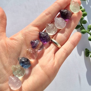 Mini Fluorite Turtle Carving, Crystal Turtle Carvings, Mini Crystal Animals, Fluorite Mini Crystal