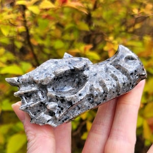 Yooperlite Dragon Head Carving, Crystal Fluorescent Dragon Skull, Grey Yooperlite Dragon, UV Reactive Crystal