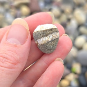 Rare Welsh Wishing Stone: Natural Magic Talisman, Gower Coast