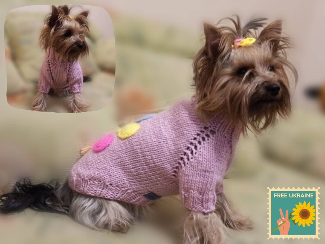 Knit Small Dog Sweater With Crochet Decor Handmade Etsy