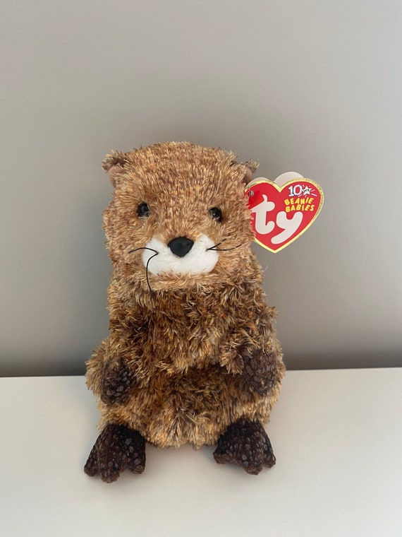 TY Beanie Baby punxsutawn-e Phil the 