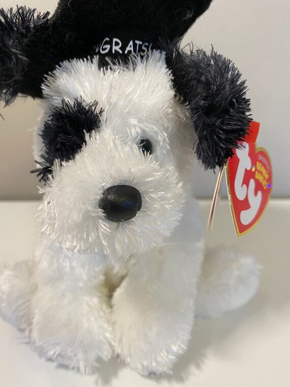 Are Dogs Allowed In Walgreens