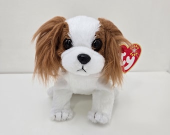 Ty Beanie Baby « Regal », le chien épagneul King Charles ! *Rare* (6 pouces)