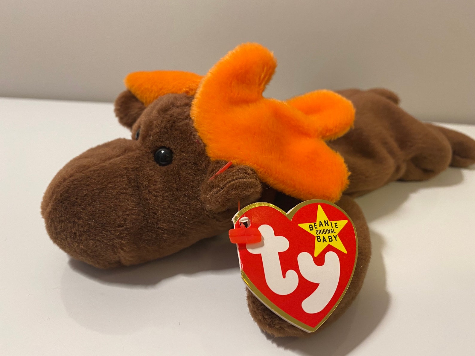 TY Beanie Baby Chocolate the Moose Plush 9 inch | Etsy