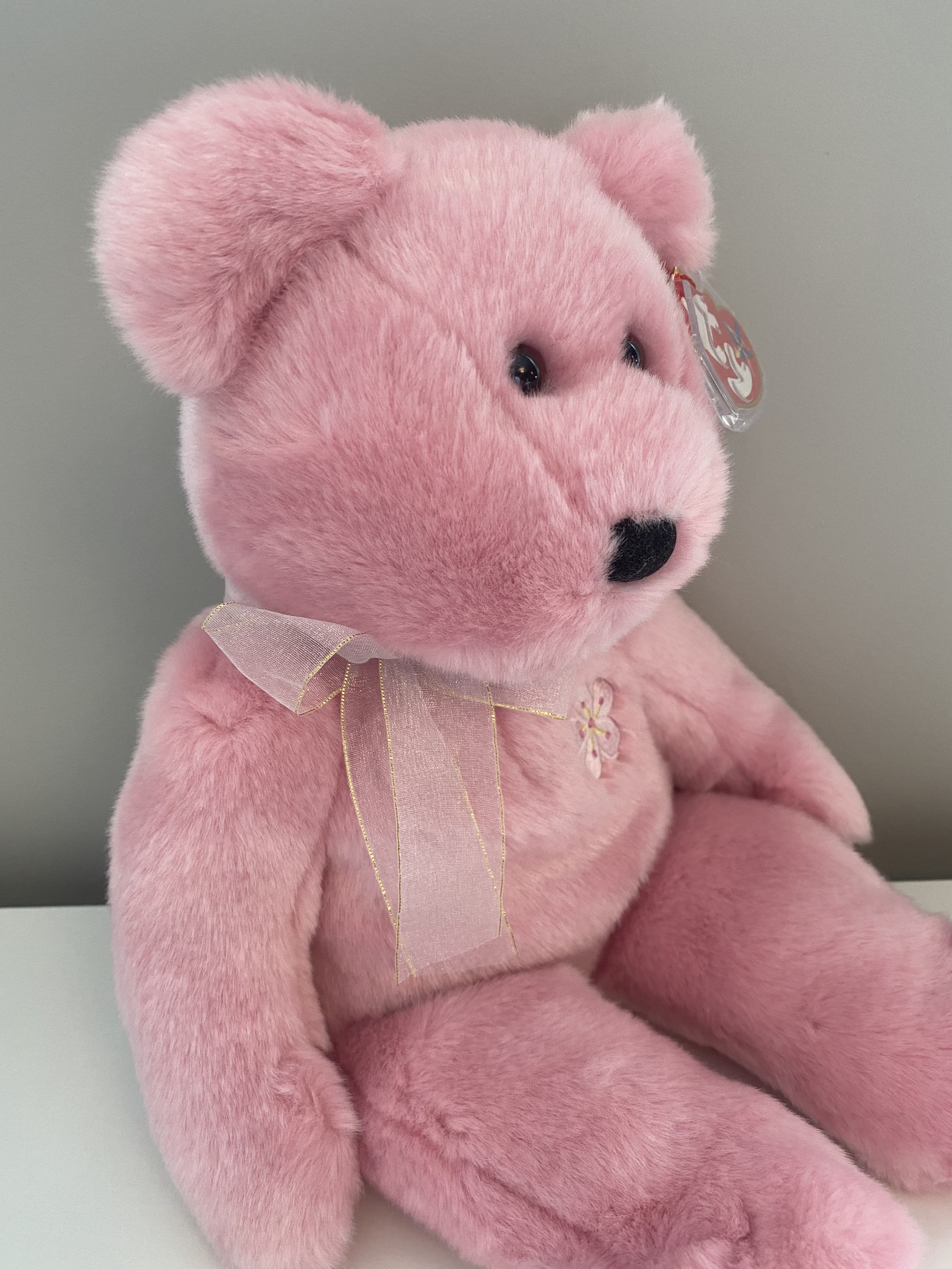 Pink bady bear Small-Pink-Bear.jpg