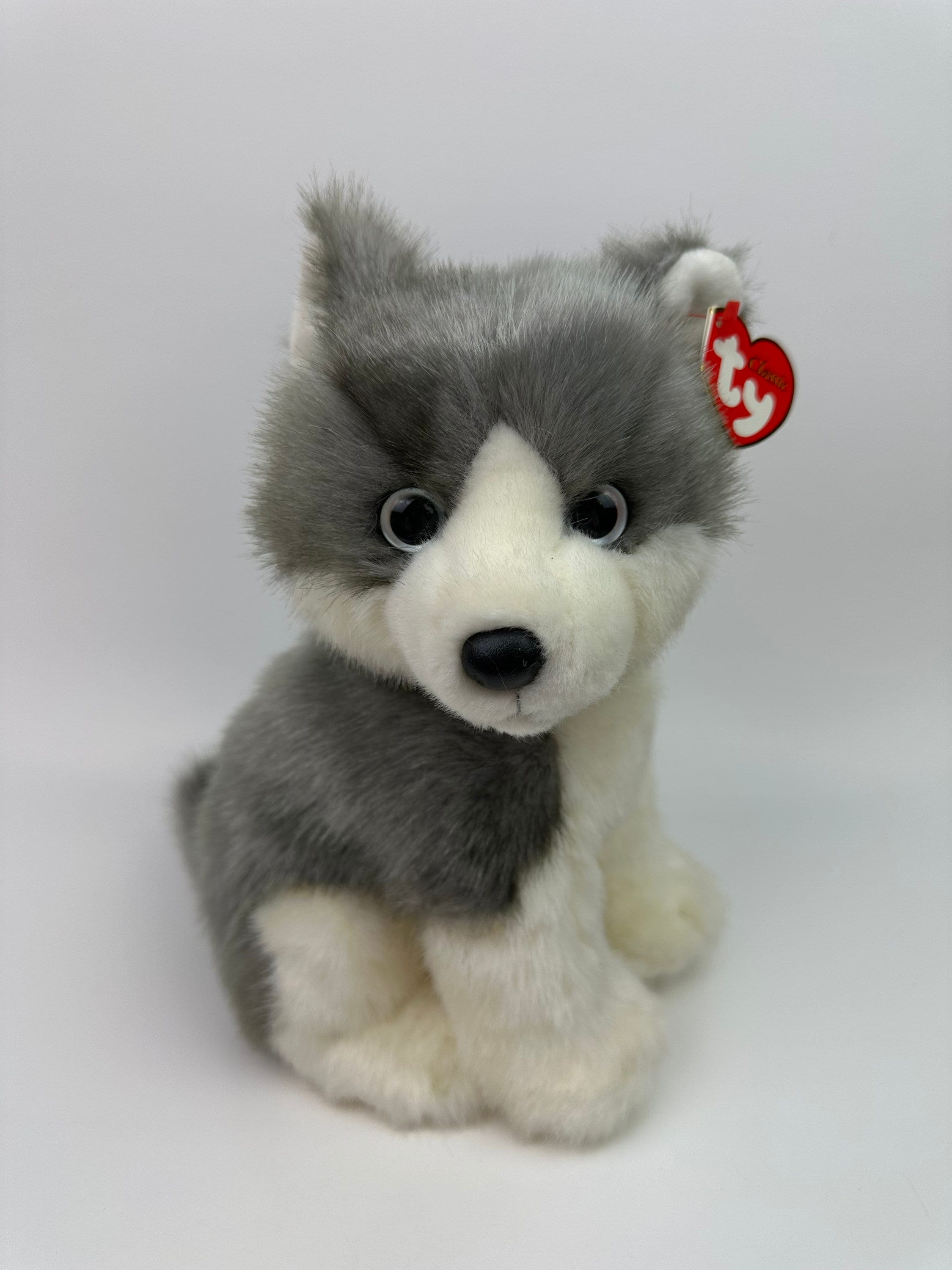 Ty Classics Collection “boomtown” the Siberian Husky Dog ! (10
