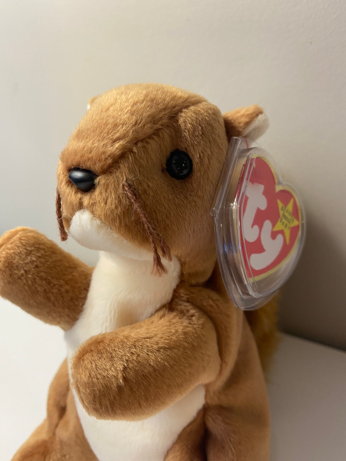 TY Beanie Baby nuts the Squirrel 5.5 Inch Etsy UK