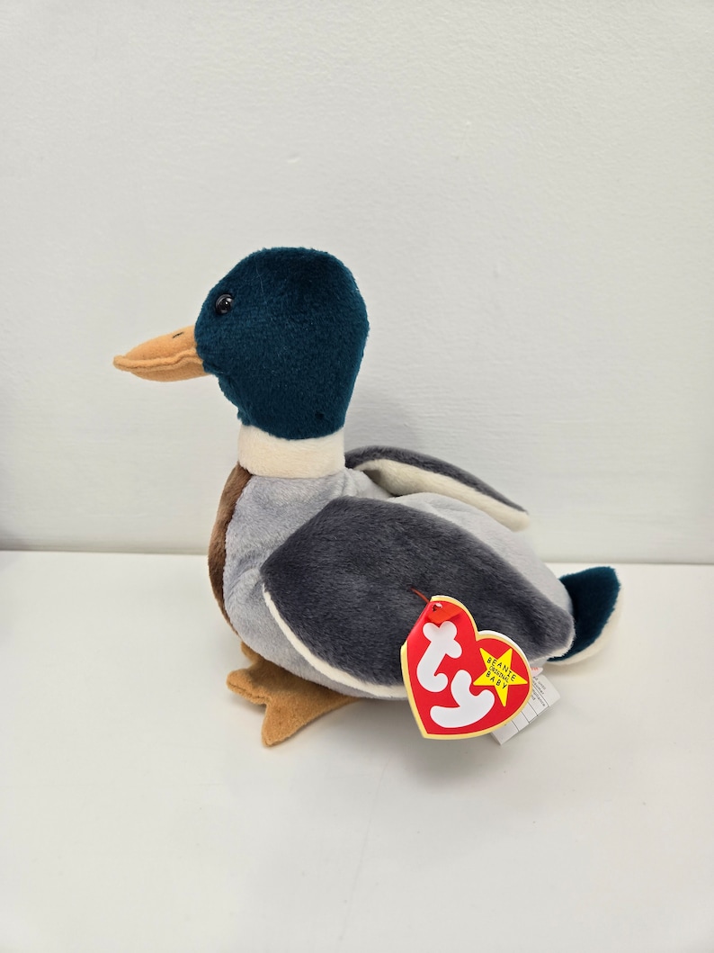Pu&ograve; includere: Un'anatra di peluche grigia e blu con un becco marrone e zampe arancioni. L'anatra &egrave; seduta su una superficie bianca e ha un'etichetta rossa Ty Beanie Baby attaccata.