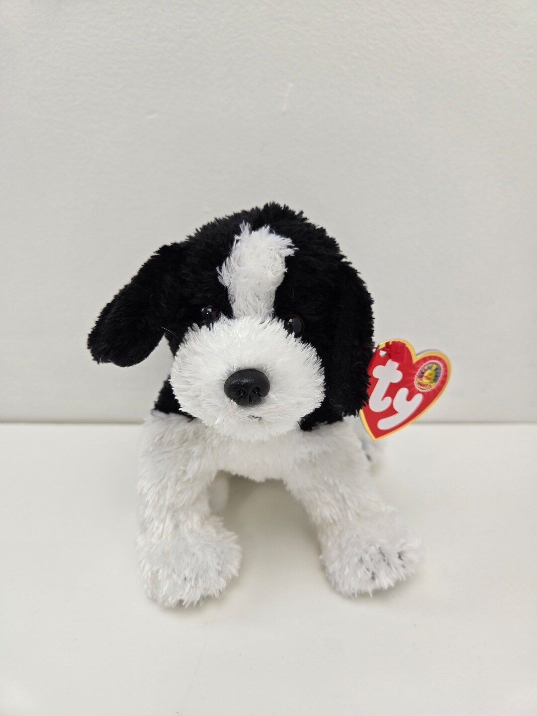 Ty Beanie Baby “riggins” the Dog Beanie Baby of the Month *rare
