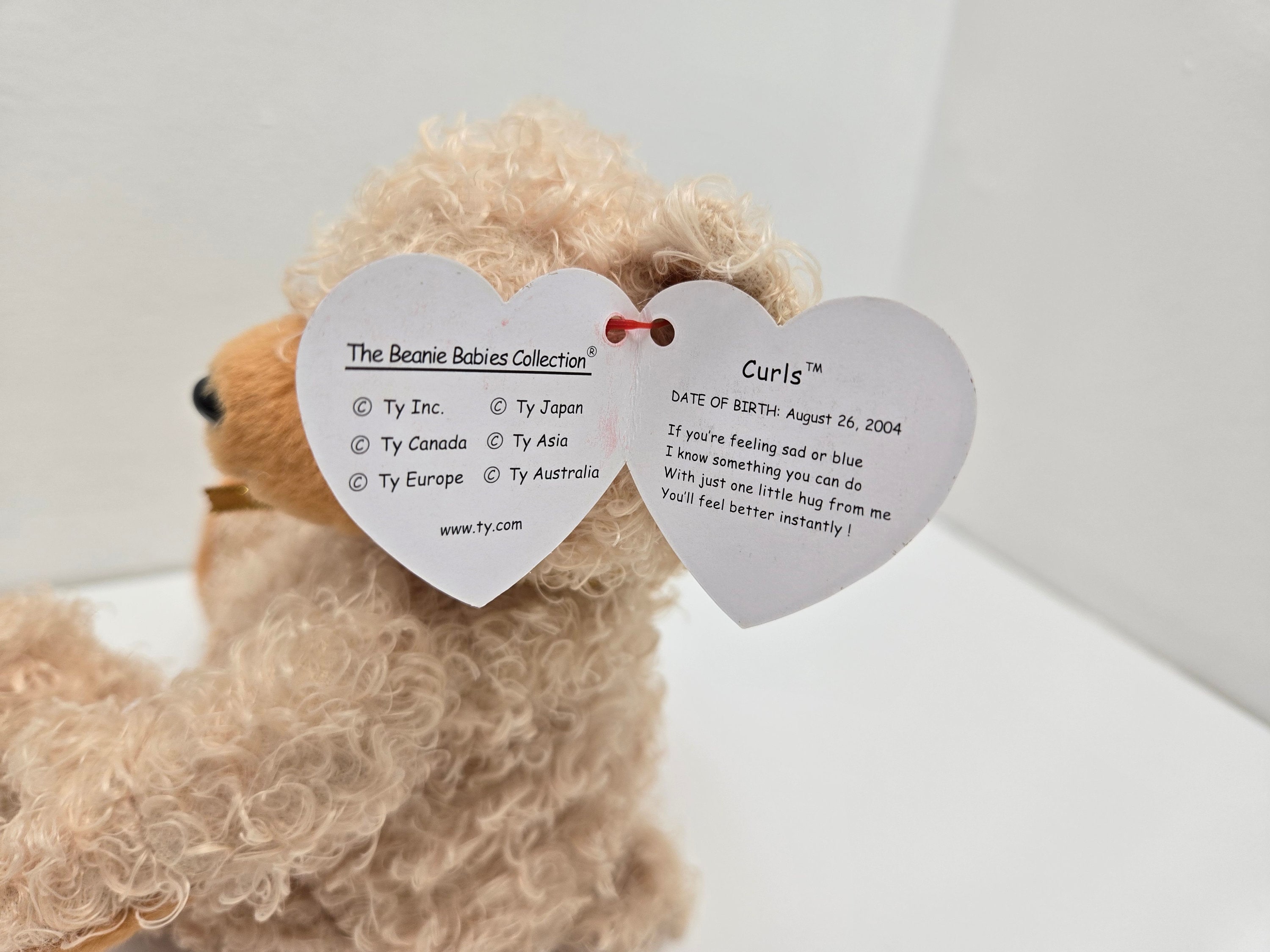 Beanie Babies Curly the Bear Beanie Baby Plush Ragtime, Blue  Beanie Baby Curly main image 1