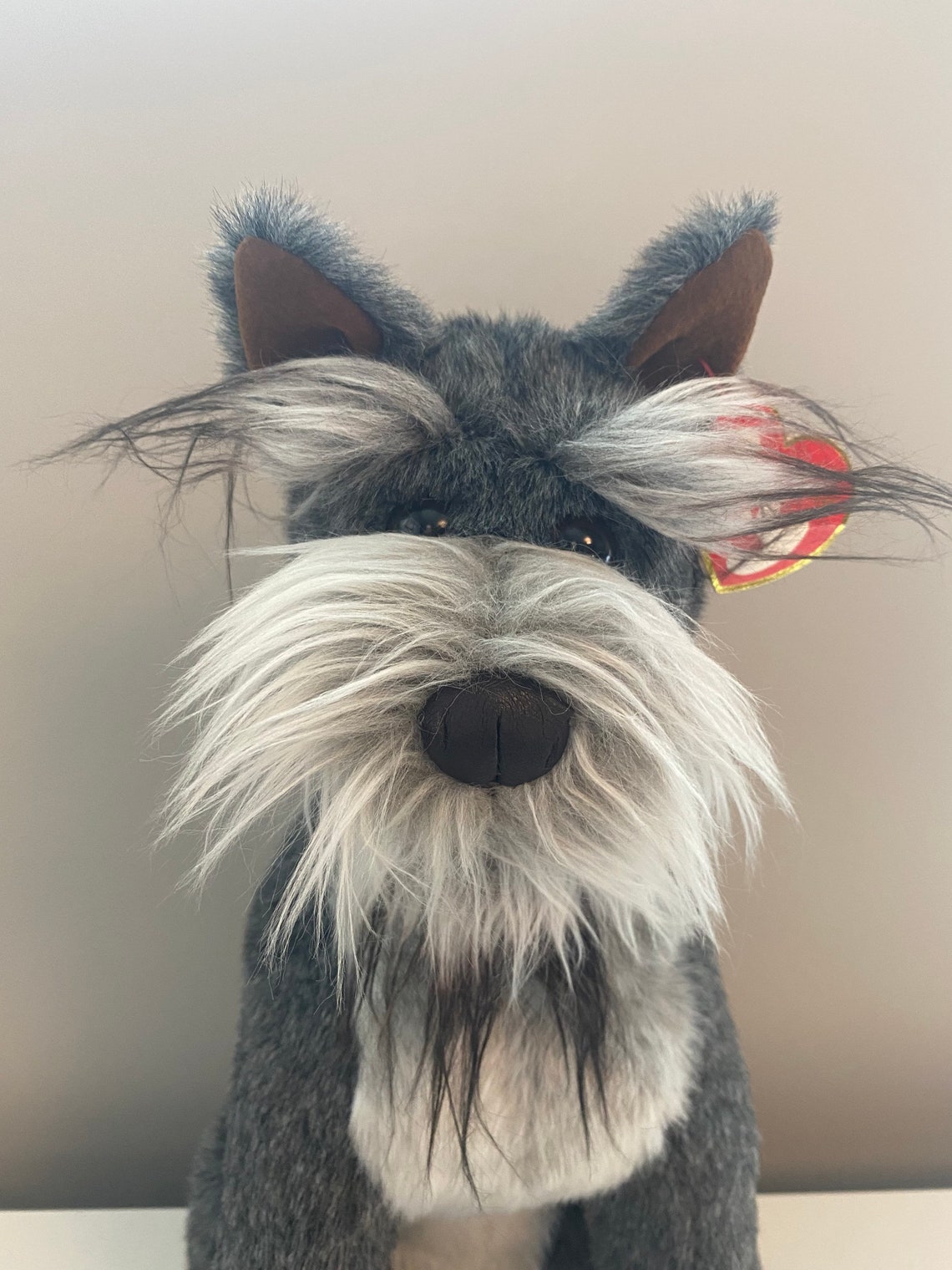 schnauzer hund kaufen