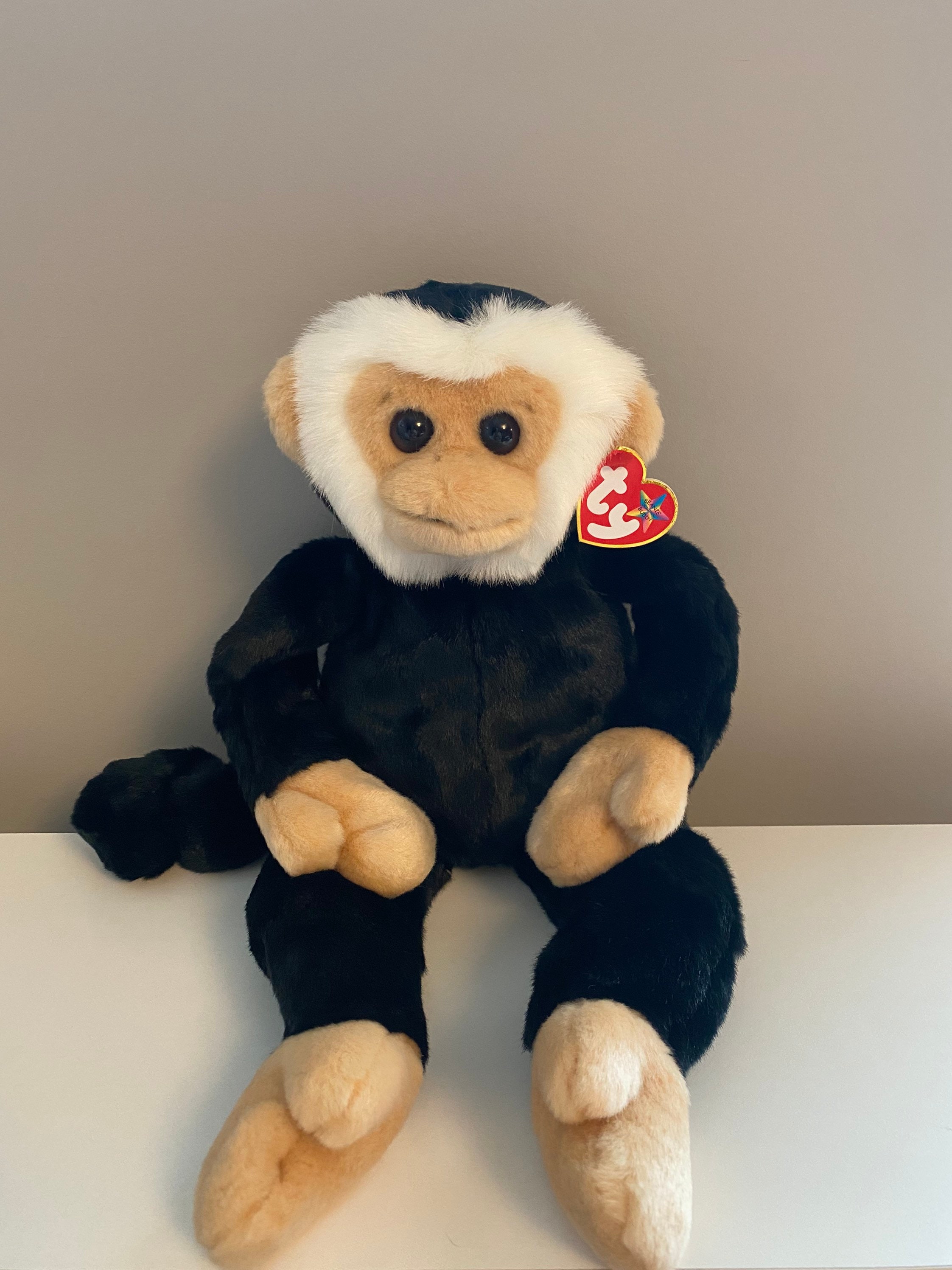 Mooch monkey sale