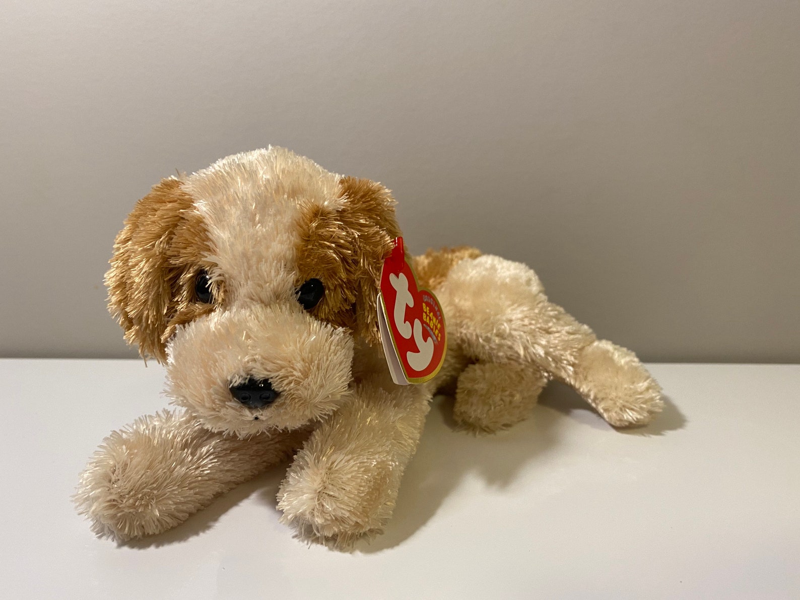 TY Beanie Baby banjo the Dog Plush 6 Inch Etsy