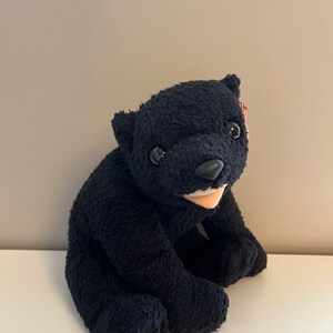 TY Beanie Buddy CINDERS the Black Bear Retired 06/25/02 - Etsy