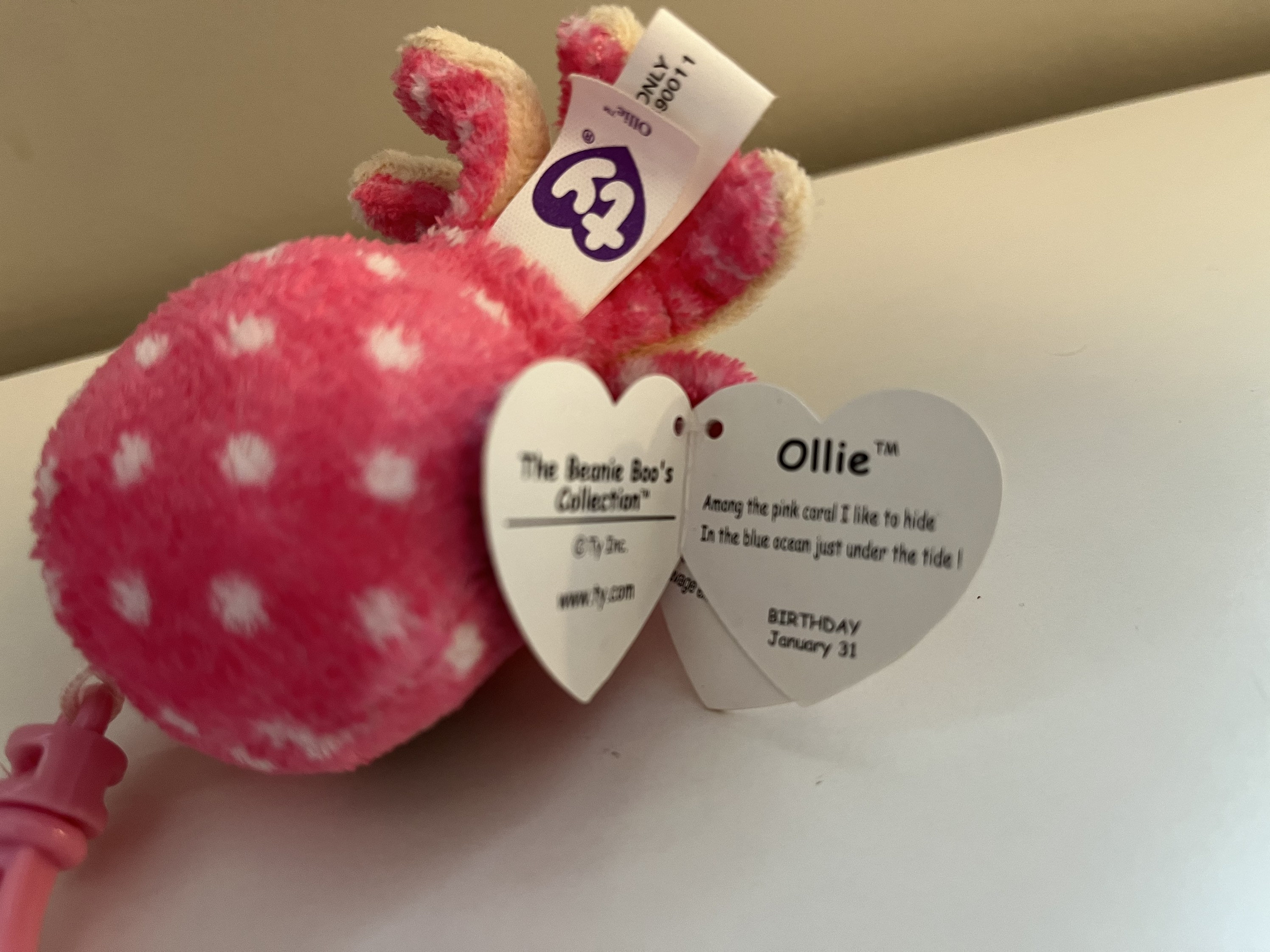 Ollie the octopus best sale beanie boo