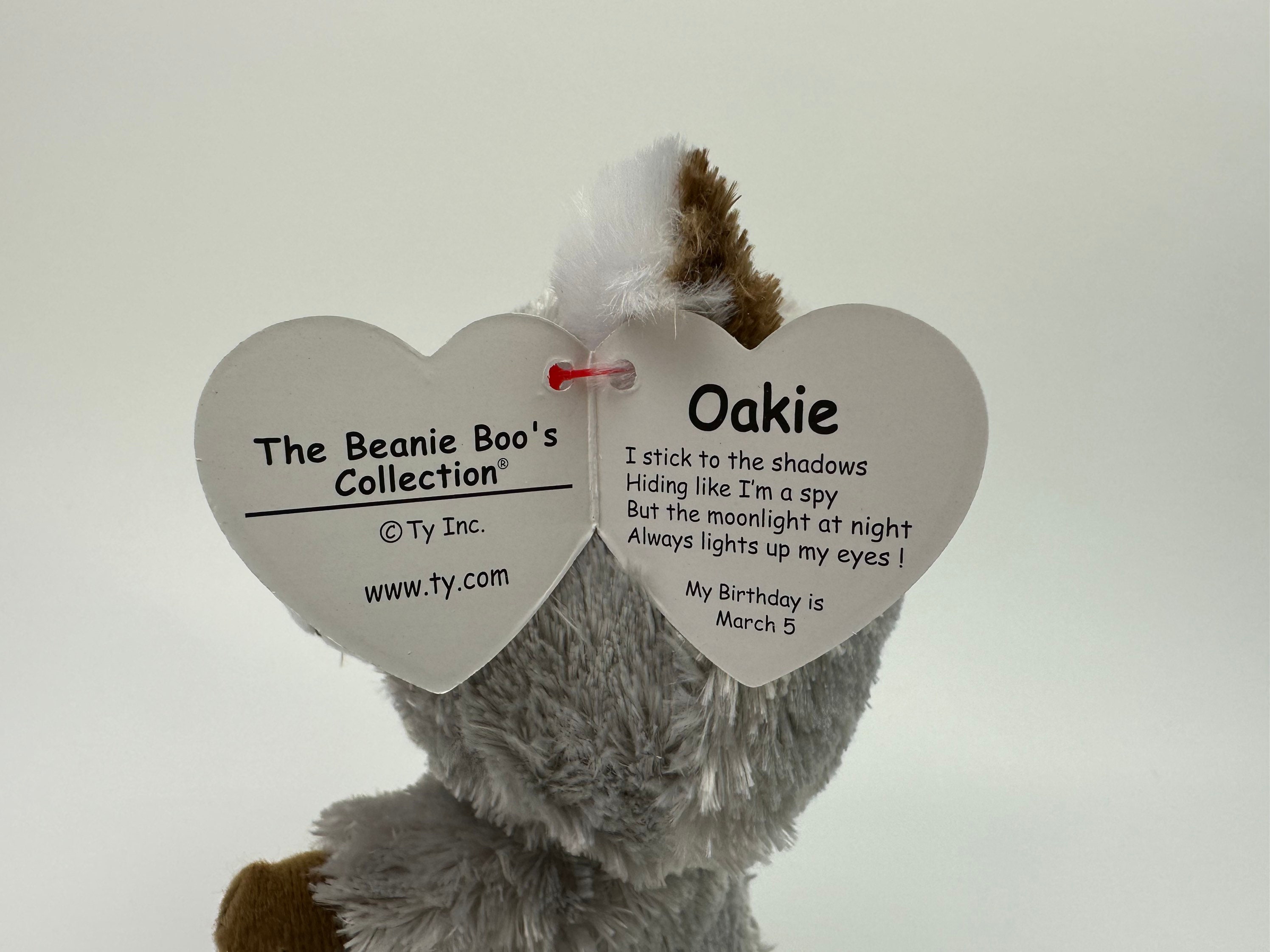Ty Beanie Boo oakie the Grey Racoon 6 Inch Etsy UK