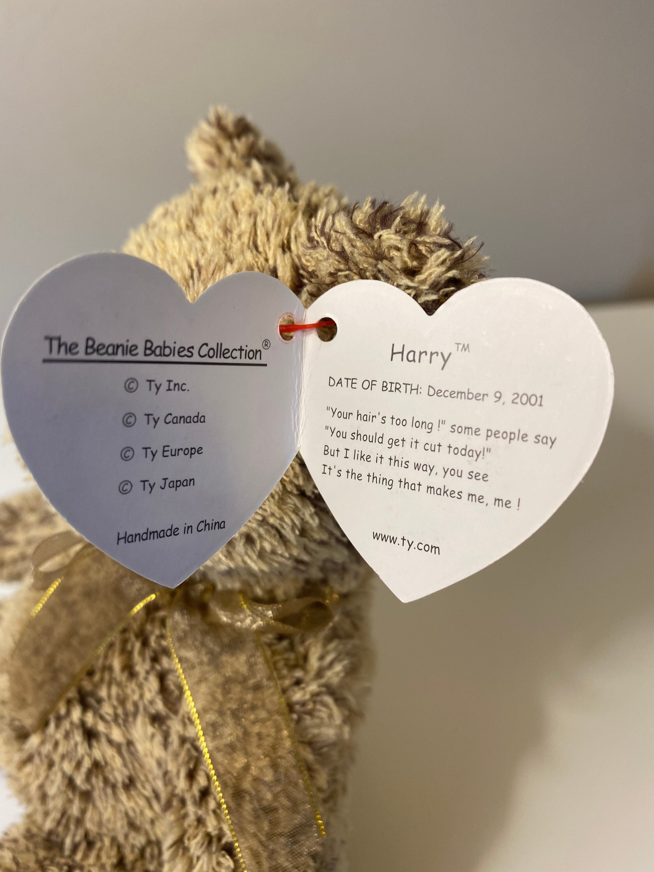 Ty Beanie Baby harry the Adorable Fuzzy Bear 8.5 Inch Etsy Hong Kong
