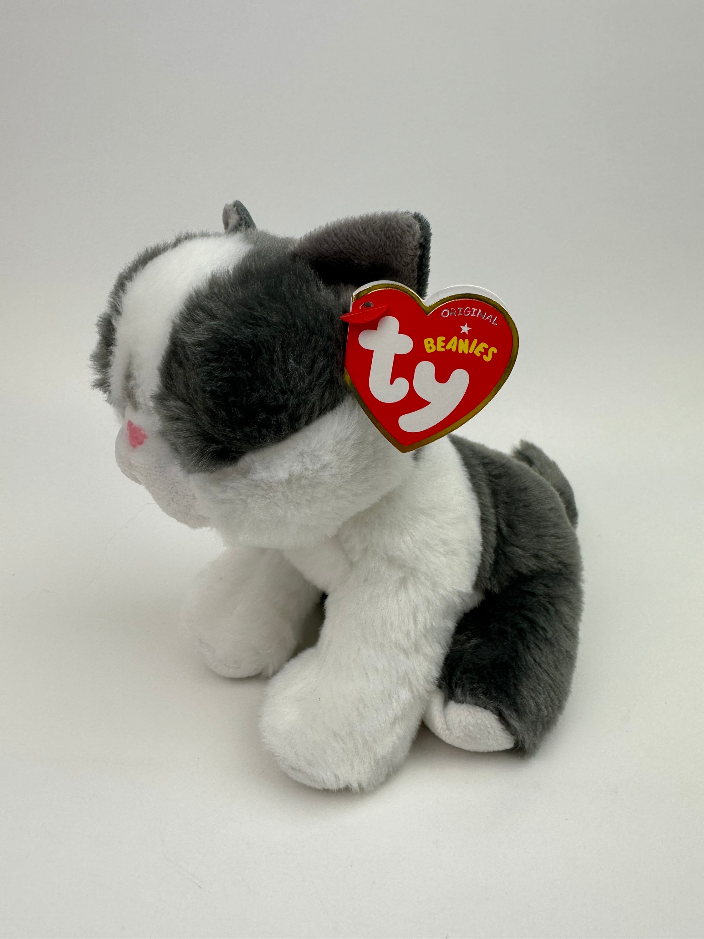 Ty top yang cat