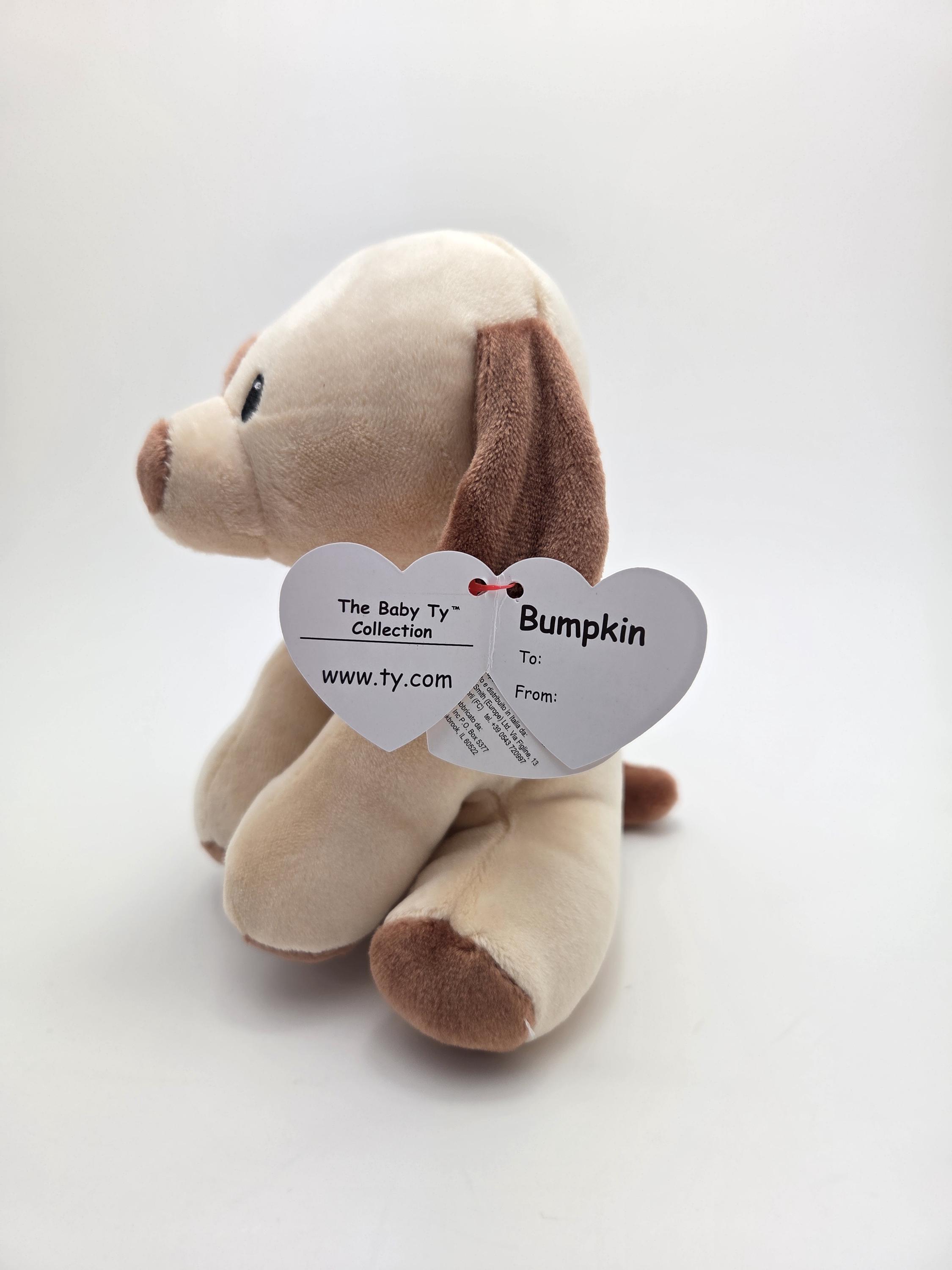 TY Baby Line “bumpkin” the Adorable Brown Spotted Dog *rare* (6