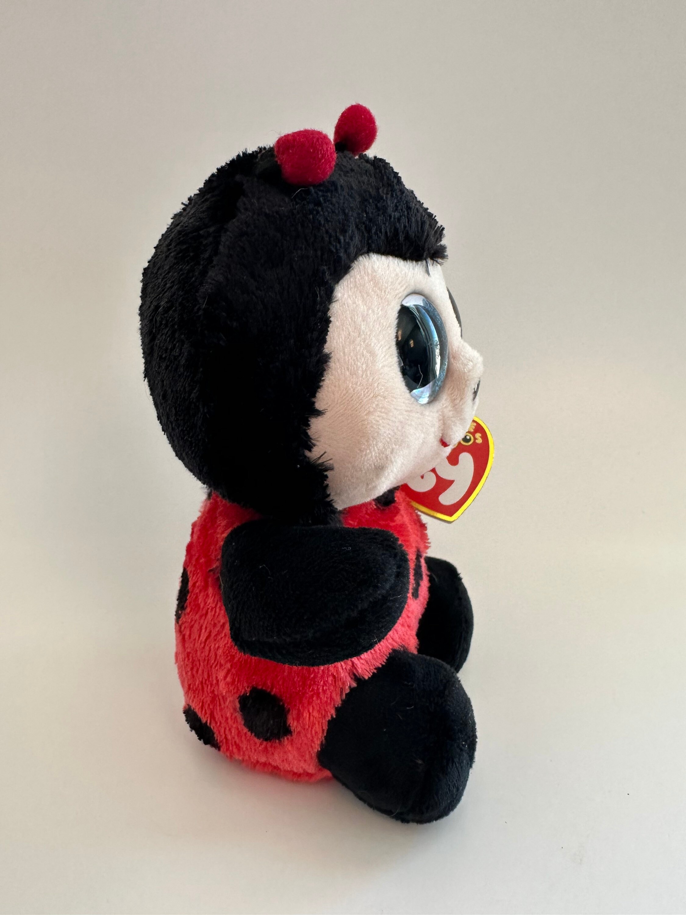 Tezzy Boo Ty Beanie Boo “izzy” the Ladybug (6 Inch) - Etsy